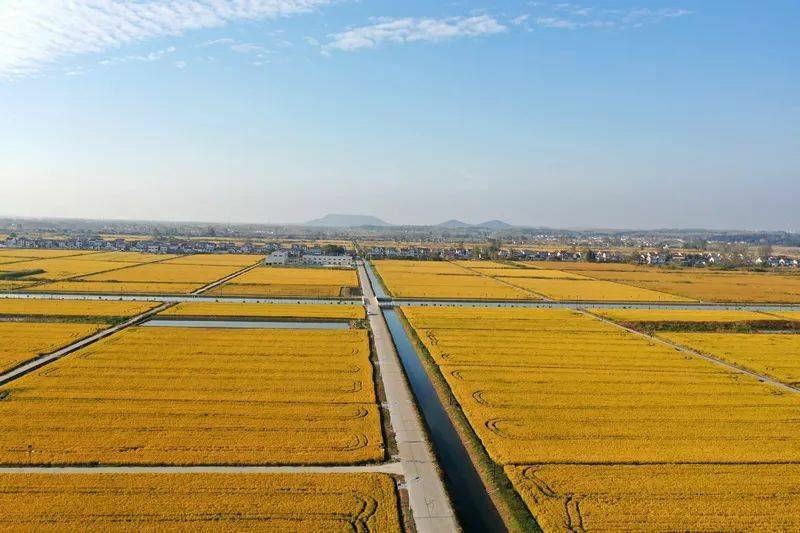 岳池中型灌溉区配套项目水土保持方案报告书顺利通过专家审查！